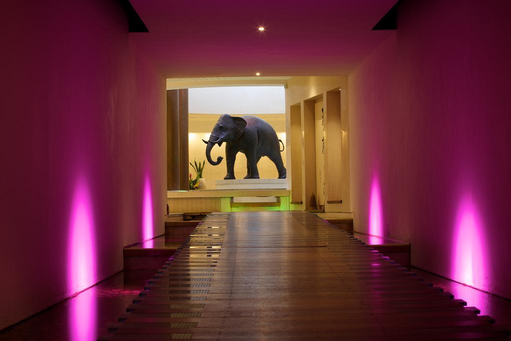 Seaham Hall And Serenity Spa Exterior foto